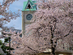 桜の花咲く小さな公園　赤羽公園