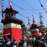 常滑の山車祭りを観に来ています。　明日までやってる、常滑へ行こう！