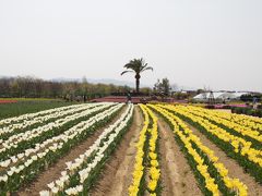 和泉リサイクル環境公園を訪ねて