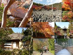 奥の細道を訪ねて；付録２・芭蕉最期の行程を辿る旅 ２．芭蕉が最期の大阪への旅直前にも訪れた去来の庵・落柿舎がある京都嵯峨野　(目次)　