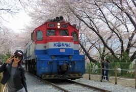 2014春、韓国旅行記27(9/25)：4月7日(2)：鎮海(チネ)、慶和駅(キョンファヨク)、観光臨時列車の通過