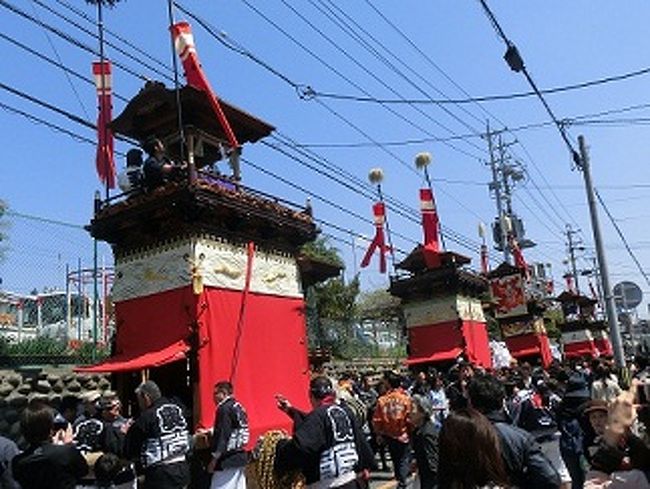 　今、私はまだ明けきらぬ朝の常滑散歩道をを歩いてきました。　あちこちで咲き誇っていた名残を見せる桜の花は何とかお祭りまでは咲いていたいとでも思っているかのようで天気にも恵まれ常滑の山車祭りは始まったのです。　ホテルに戻り朝食をしていたら、1台の山車が目の前を通り過ぎて行きました。<br />　ホテルのスタッフに６台の山車がが集結して並んで走るところはどこか、と尋ねていたら、お隣りの席の中年女性から「10時10分に〇〇小学校ですよ」と元気な声で帰ってきました。<br />　お礼を言うとそのご婦人ら3人は「フォートラベル」の山車祭りの記事を読み、もう常滑は何度も来ているところだけど来てしまった、というのですから、書き込んだ私としては嬉しい限りでした。<br />　東京からですか？の問いに「そうです」と答えたら、ご婦人らも世田谷からだと言う。<br />　東京では山車祭りは珍しく、つい、出かけてきたと言うのだが玉川上水のグリーンロードの話をしたら、そちらも歩きました、と言う。かなりフォートラベルを活用している方のようでさらにうれしい限り。<br />　偶然にも大学が多い町・小平を紹介したら、よく知っているとのことで、共立女子大の神田講堂で大学バンドの演奏会をしたことがあると話したら、その共立女子で付属から学ばれた方とのこと、等々力渓谷の近くにお住まいで、何とも奇縁であったが、こうして旅先で出会えるのは楽しいです。<br />　私は常滑の山車祭りを観たいと夜中に東京を発ち、深夜の東名を走り、伊勢湾道からセントレアへと走りましたが、ナビのお蔭で最近は道を間違えることもなく、便利な世の中をつくづく感じます。<br />　さて、お祭りと言えば神輿ですが、ここ常滑のお祭りでは京都や飛騨高山祭と同じで山車を曳きます。<br />　この違いを知っていますか？　お祭りの出し物でも「御輿と山車」には大きな違いがあります。　そんなことも気にしながら見物するとさらに興味が湧いてくるから不思議です。<br />　おみこし（御輿）とは神がこの世に降臨する時の乗り物、「神様」をお乗せするための物で、山車は降臨してくる神様をおもてなしするために「祭りばやしや、芝居、舞を行うためのイベントカーのようなものです。<br />　ですから、御輿には鳳凰の飾りの付いた屋根や彫刻が付けられ、担ぎ手によって担がれます。<br />　山車は、その上で芝居・踊り・お囃子を執り行い、その山車を引き綱で引っ張り動かすものです。<br />　常滑の春祭りは六台の山車が町内を練り歩くもので、市内の常石神社は天照の神が降臨し、人の道を説き始めた所として知られ、神の降臨を喜ぶのが、常滑の山車祭りの姿です。<br />　今年は山車が町中を練り歩くのを追っかけしながら、人々の祭り事としてのお祭りを考えてみたいと思っています。<br />　高山祭りで見た山車とよく似た山車が軒の連ねた狭い路地の間を練り歩く姿は人々の心が一つになってできる業であり、いいもんです。<br />　振り返ると早や1年、今年の常滑の春祭りは4月12、13日に開かれると聞き、やって来たが、思いついたら実行するのが私流、「祭り見物」に出かけて来てしまった。<br />　町内を練り歩く６台の山車は途中「神明社」、「常石神社」に立ち寄るとのこと。随所にいい写真が撮れるスポットがありそうだ。（すでに昨日、下見チェック済です）<br />　桜咲く常石神社の参道、やきもの散歩道をぶらりしながら、ひと時の癒しの旅をあなたも味わってはいかがでしょうか？<br />　私がお薦めする常滑の旅は次のようなもの。　ご参考にされ、ぜひ現地でお会いしましょう。　猫好きの方には堪らない思い出の地になることでしょう。　私はホテルAU常滑に滞在中です。<br />　*注　特に常滑と言えば日本の六大窯元の一つ、常滑焼で有名ですが近年　　　では「招き猫」の特産地として知られています。<br />　　　　街の中を歩くとあちこちに猫をモチーフにした焼き物が点在するの　　　で、猫好きの方にはぜひ愛猫の聖地として訪れることをお薦めしま　　　　す。　カフェで、蕎麦屋で隣り合わせになった旅人と思わず「猫談　　　　義」、そんな新しい旅スタイルが常滑にあります。<br />　常滑の春祭りに猫好き人間が全国から集結して「私の、おらが猫自慢」をしあえたら楽しいですね。<br />　また、この機会に皆さんがお持ちの「かわいい、or　珍しいしぐさの愛猫の写真などを一堂に会して写真展を開けたら楽しいですね。<br />　楽しい企画案がありましたら、ぜひお寄せください。<br />　私のメールアドレスはwishbone55@aroma.ocn.ne.jp　です。よろしく！<br />　<br />☆☆☆　私の薦める“常滑ぶらり旅”プラン　・・・・<br />　　　　　桜の下で春祭り見物とやき物散歩道を往く旅なら、<br />　a)　常滑駅を降りたら（名鉄線）・・・　　焼き物散歩道をめざせ！！<br />　　　　駅前よりやきもの散歩道：Ｂコースを進んでみましょう。<br />　　　散歩道の途中にはおしゃれなレストランやカフェもたくさんありま<br />　　　すから、いそがずゆっくりが一番！<br />　　　　　詳しくは常滑市観光協会へ　　　0569-34-8888<br />　b)　山車は途中、常石神社と神明社にて集結しますので、そこは写真撮影<br />　　　にはベストスポットといえます。　くわしくは観光協会へ<br />　c)　食事処のお薦め・・・ソニーの創業者　盛田昭夫氏の生家である盛田　　酒造、味噌蔵の味噌煮込みうどんをお薦めします。<br />　　　　モリタ<br />　d)　明太子製造工場の無料見学は大賑わい！<br />　　　　明太子と言えば福岡のものと思っていたらその工場が常滑にも　　　　　あるんです。　すごい人気スポットですよ。<br />　　　　めんたいパーク　　（株）かねふく　　<br />　e)　宿泊なら駅前のAU常滑ホテルが人気です。　快適でリーズナブルな価　　　格が何よりで、地下にある大風呂はゆったり感があって寛げますよ。<br />　　　　AU常滑ホテル　　常滑駅前　0569-36-1600 <br />　　　　セントレア東横イン　　　　0569-38-0045　<br />　f)　やきもの教室　　市内各所にあり　<br />　　　