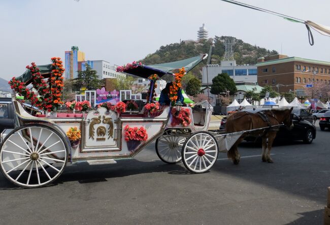 2014春、韓国旅行記27(10/25)：4月7日(3)：鎮海(チネ)、昼食の後に鎮海の露店見学