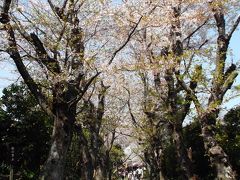 極楽寺のオバトン(打越トンネル)と特別拝観