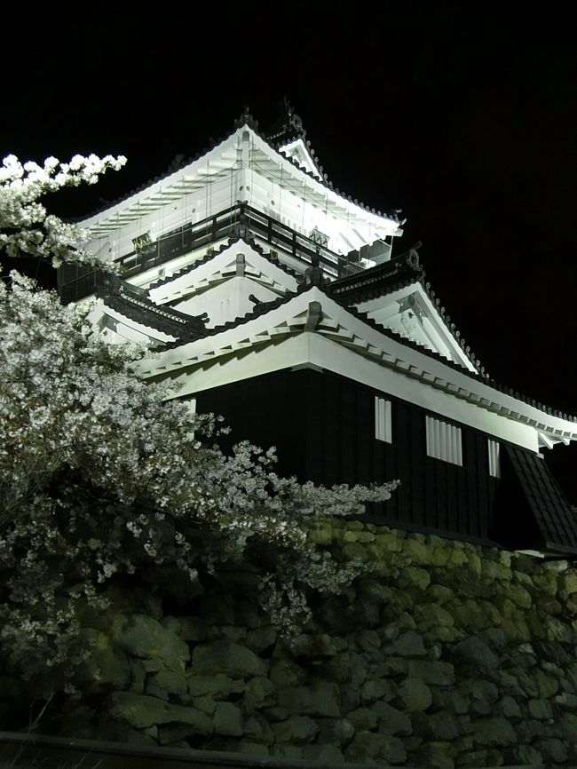 フラワーパークへ行った後、佐鳴湖へ移動し、満開の桜を見て、日が沈んだ後、浜松城で夜桜を見ました。<br /><br />たぶん人生初夜桜です!<br /><br /><br />■春の六連続旅行記 第四弾!!■