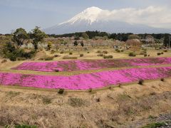 桜と富士山 Part2 in 富士宮