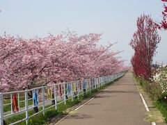 つくば遠足（後編）筑波山神社～わんわんランド