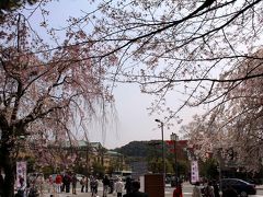 京都春色散歩♪京都一のおうどん「山元麺蔵」と平安神宮でご朱印帳を頂こう。