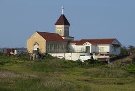 2014春、韓国旅行記27(19/25)：4月8日(6)：済州島、渉地岬(ソプチコジ)、オールイン・ハウス