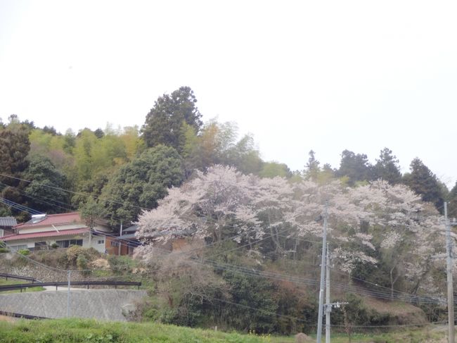 温泉と古い寺巡り