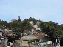 桜満開、竹生島