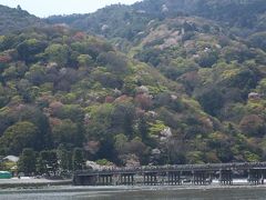 京の桜めぐりーーー嵐山とトロッコ列車