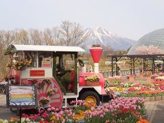 大山Ｇビール飲み放題と春爛漫　とっとり花回廊でお花見　最後はみなと温泉でゆったりする旅