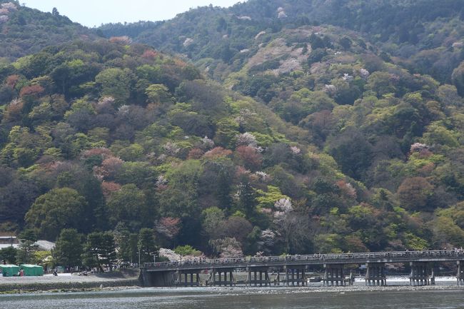 嵐電で龍安寺、退蔵院、仁和寺を訪れたあと今度は嵐山へ。<br />まずトロッコ列車を予約して渡月橋へ