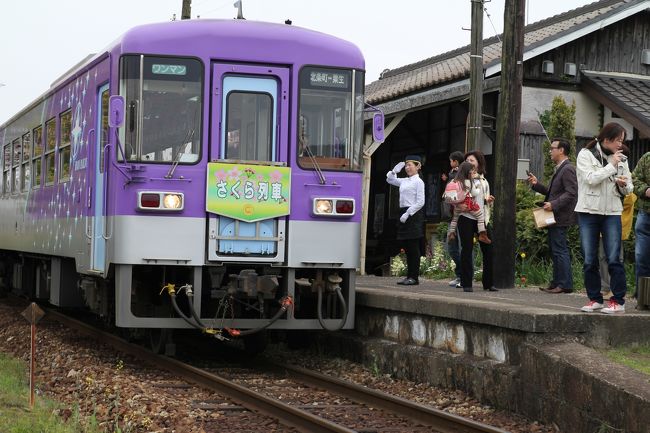 北条鉄道法華口駅、ボランティア駅長さんが運転手さんにご挨拶、この日はここ法華口駅で北条鉄道のさくらまつりが開催されました。<br /><br />第２回北条鉄道さくらまつり、北条鉄道は兵庫県加西市を走る第３セクターのローカル鉄道です。この鉄道はJR神戸線、加古川駅から北に伸びる加古川線の粟生駅から、加西市の中心部、北条町駅までの13.6kmを結びます。<br /><br />今回の桜まつりでは、北条鉄道のちょうど真ん中にあたる法華口駅とその先の播磨下里駅、長駅の3駅でイベントが開催されていました。これら3駅は共に昨年末、その駅舎が国指定の有形文化財に登録され、これらの駅の駅舎を中心にお祭りが行われていました。<br />今回は朝、終着点の北条町駅そばの駐車場に車を止め、この日限定の1日乗り放題チケットを購入、先ずはこの終着点の北条町駅から始点の粟生駅へ、そして粟生駅から折り返して法華口駅へ、ここで様々なイベントを見たり、到着する列車を撮影すると共に、駅舎の周りに出されているバザーで買い食いなどしてお祭りを楽しんできました。　<br /><br />広々とした田園風景の中に佇む法華口駅、ゆるーい北条鉄道の雰囲気につつまれつつ、のんびりとした一日を過ごしてみました。<br />