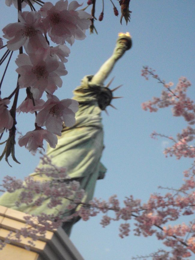 週中の雨で、週末を待たずに既に近所の桜は残念な事に(Y_Y)<br />遠出の予定が、時間とお金を浪費してハズしたらショックなので、大塚家具をのぞいてみよう?って予定と絡めて、お台場へ♪<br />海沿いは寒いからまだ平気かな?と思いきや、近所と何も変わらず、既に残念な状態に(Y_Y)<br />自由の女神近辺のみ、種類が違うのでちょうど満開でした♪<br />結局その辺に行ったのは夕方になっちゃったけど、自由の女神はちょうど南向いてるので、写真撮りたかったら12時頃がちょうど良いのかな?