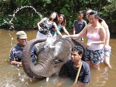 国立アジアゾウ自然保護区　（マレーシア）Elephant Sanctuary