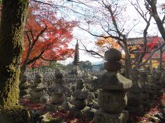 奥の細道を訪ねて；付録２・芭蕉最期の行程を辿る旅 ２．芭蕉が最期の大阪への旅直前にも訪れた去来の庵・落柿舎がある京都嵯峨野 2-5嵯峨野の紅葉その3化野念仏寺