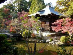 奥の細道を訪ねて；付録２・芭蕉最期の行程を辿る旅 ２．芭蕉が最期の大阪への旅直前にも訪れた去来の庵・落柿舎がある京都嵯峨野 2-6嵯峨野の紅葉その4清凉寺