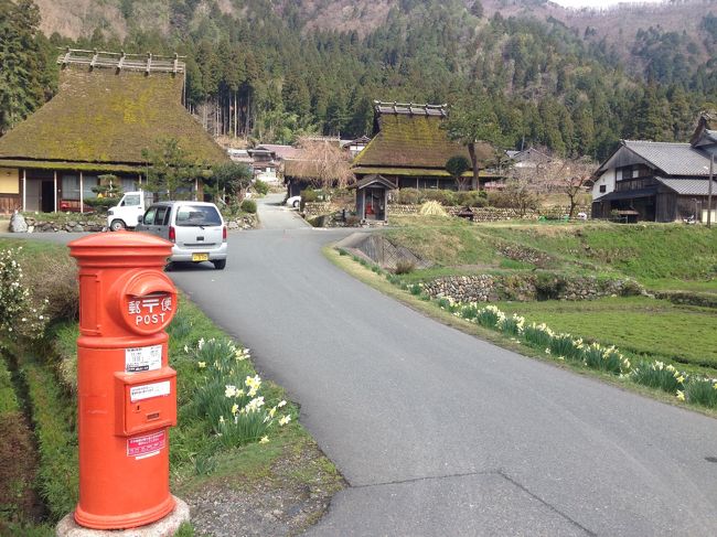 「久しぶりに行きたいなぁ〜〜」と思っていた美山町。<br /><br />自宅から110ｃｃスクーターを走らせ、<br /><br />紅葉で有名な高雄・京北町を抜けて、<br /><br />2時間近くかけ美山町へ行ってきました。<br /><br />この時、京都市の桜は満開でしたが、<br /><br />美山町はまだまだ寒く蕾でした。<br /><br />今位が良い時期かもしれません。<br /><br />デジカメで写真を撮りたかったのですが、<br /><br />充電切れ…。<br /><br />という事で、スマホで撮りました。<br /><br />ただでさえ写真を撮るのがうまくないのに、<br /><br />写真は残念な結果になりました（笑）