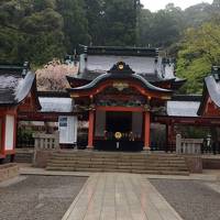 春の鹿児島でリフレッシュできました