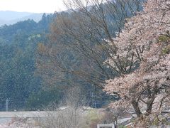 埼玉県ときがわ町　慈光寺から花の里山めぐり