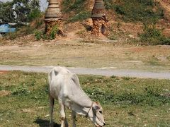 ニャウンシュエ (Nyaung Shwe) 　街中ぶらぶら～