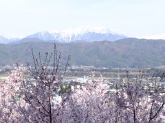 信州桜の上田、高遠、春日の３名城と名湯草津