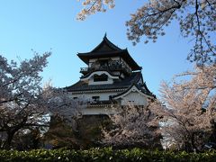 ３２年ぶり２度目、桜満開の犬山城登城