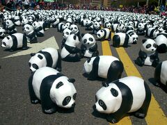台北市庁舎前に張り子のパンダが1600匹 パンダワールドツアータイペイ PANDAS