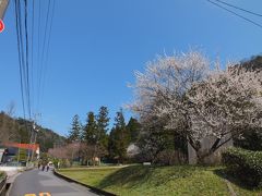 島根県太田市　世界遺産　石見銀山　龍源寺間歩見学編☆