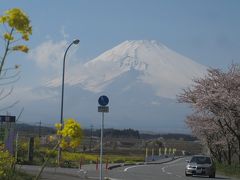 裾野ヘルシーパーク近くの桜、菜の花、富士山…