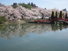 一本桜をひたすら巡るタビ、そして１７本