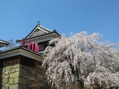 日帰り旅行♪上田城千本桜まつり♪