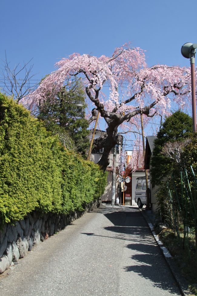 日光に桜を見に行ったついでに日光湯元までドライブ。中禅寺湖周辺は風が強かったです。