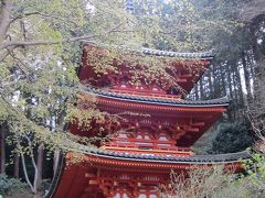 2014  桜旅 京都・奈良  2日目  岩船寺 浄瑠璃寺 石仏の道