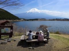 桜咲く、田貫湖一周散策路