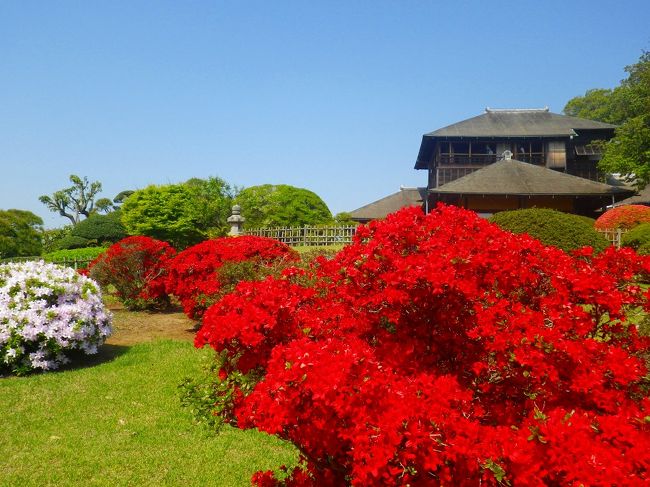 南東北旅行の締めは著名な神社、寺院のハシゴ参拝です（失礼）<br /><br />冗談抜きに茨城県から千葉県には日本有数の神社仏閣がひしめいています。<br /><br />ここを素通りしては一生の不覚。<br /><br />水戸に宿泊したのもそのためです！