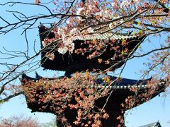 春の奈良（？大阪）　Ⅰ　生駒山～叡福寺