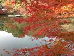 御船山へ日帰り旅行