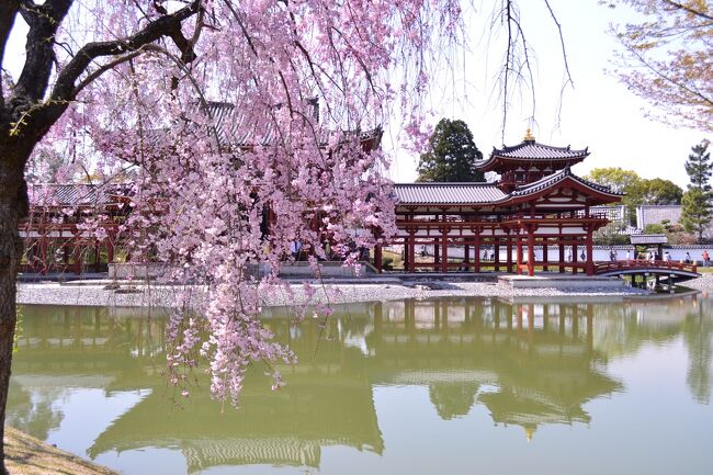　京都御所で春秋の年２回開催される一般公開に合わせて、４月９日から２泊３日の日程で京都・大阪の旅に出かけました。