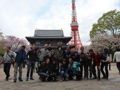 ★桜お花見多国籍あいのり旅行 2014★