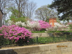 ソウルの景福宮の春２・王宮守門交代・仁寺洞