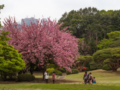 新宿御苑を散策（2014年４月）