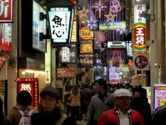 奥の細道を訪ねて；付録２・芭蕉最期の行程を辿る旅 ３．芭蕉の終焉の地・大阪 その６芭蕉の句碑が建つという太融寺界隈の夜景