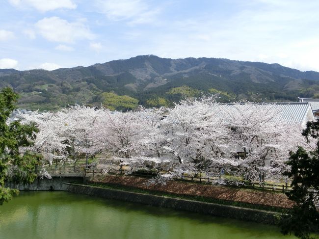 お天気も良かったので、長岳寺と黒塚古墳に行ってきました。<br /><br />桜がほぼ満開で素晴らしい景色を堪能しました。<br /><br />個人的に人混みがあまり好きではないので、人が少ないのも良かったです。<br /><br /><br /><br />