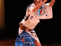 2014年　阿波徳島　阿波踊り会館