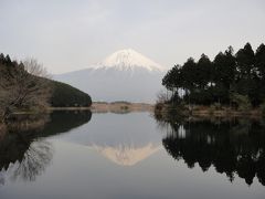 桜と富士山 Part 3 in 富士宮
