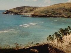 【ハワイ】生まれて初めての海外旅行はハワイでした
