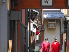 ◇京都 花街巡り～桜と艶を競う、芸舞妓の春～【4】完結 2日目後半・祇園甲部 都をどり編◇